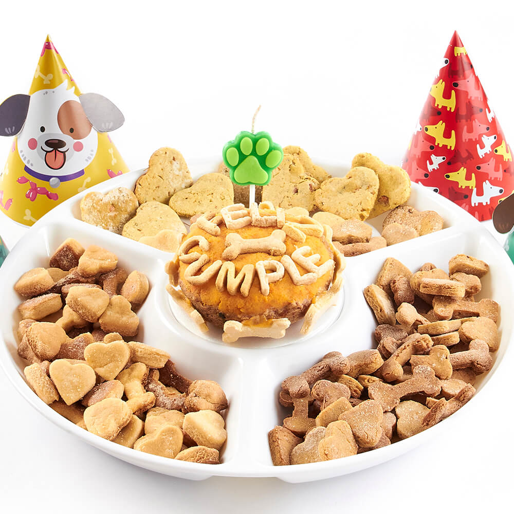 VELAS CUMPLEAÑOS PERRO - Pet Brunch Desarrollo