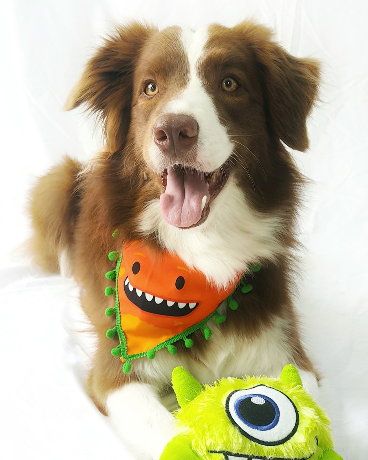 PAÑOLETA MONSTRUO NARANJA - Pet Brunch Desarrollo