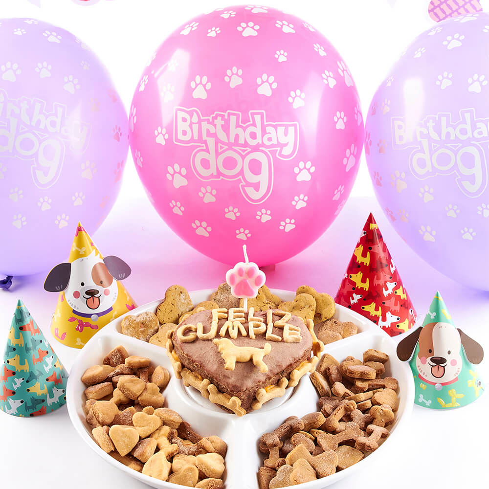BOMBAS CUMPLEAÑOS PERRO - Pet Brunch Desarrollo